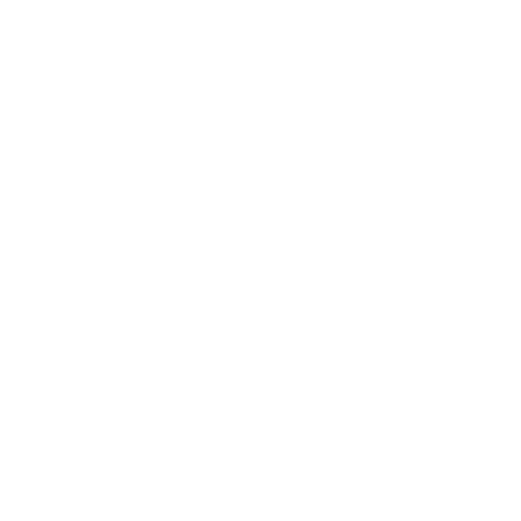 White Person Icon